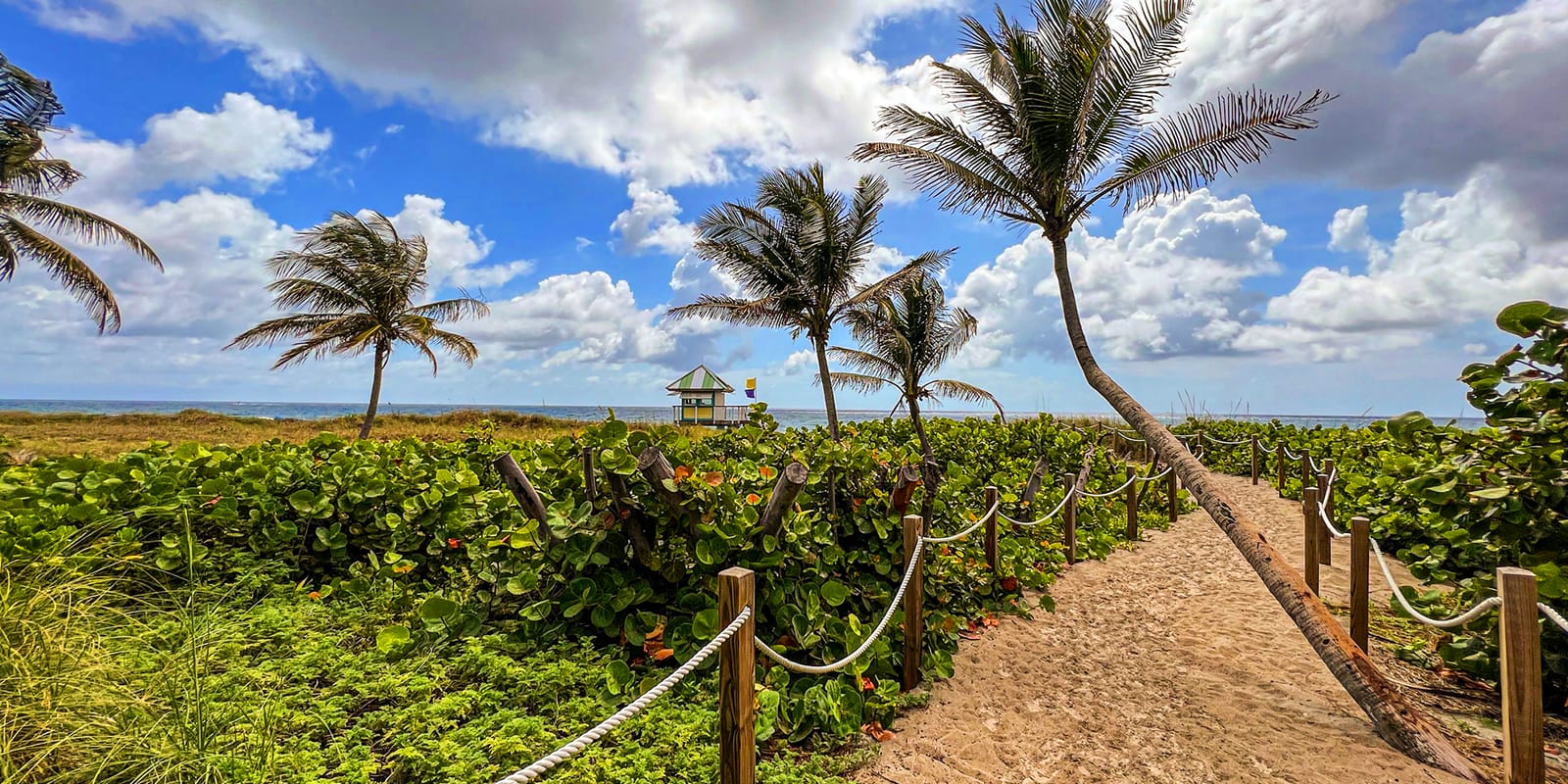 South Florida Featured Photo